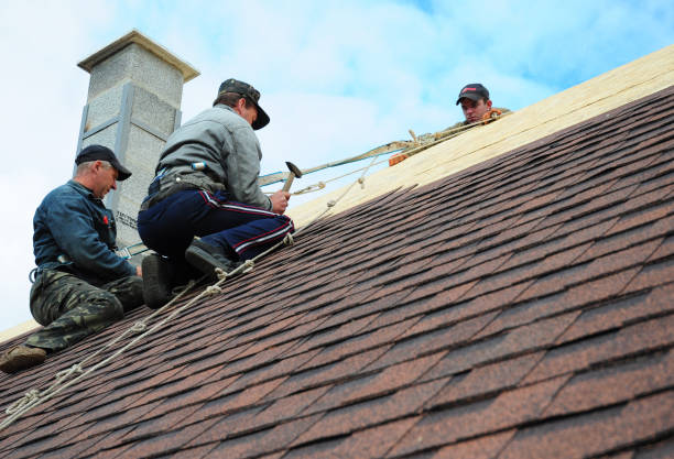 Best Shingle Roofing Installation  in East Renton Highlands, WA