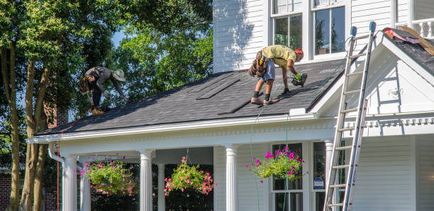 Roof Gutter Cleaning in East Renton Highlands, WA